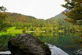 panorama of green forest by the lake in scheffau, austria