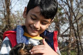 Boy And Dog Puppies