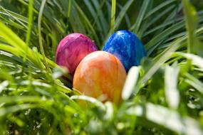 Easter Egg Colorful Eggs