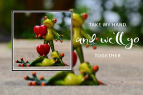 frogs love valentine day funny