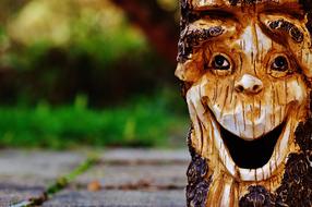 Log Face Fash
