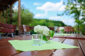 Table Decoration Deco
