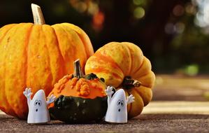 Halloween Ghosts Pumpkin Happy