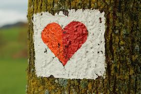 Red Heart Symbol on tree