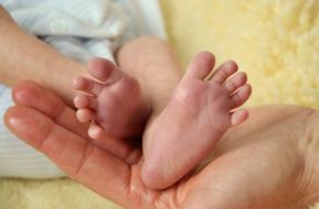 Baby Newborn Cute