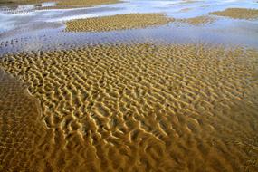 Sand Vacation Coast