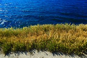 Sea Black Crimea beach