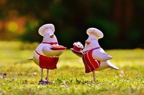 Cooking Cook Bake