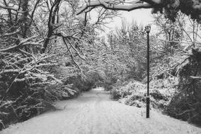 Snow Walk Path