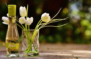 Champagne Romance Flowers blur