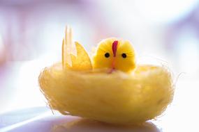 Yellow Chick Decorative