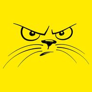 smiley emoticon funny cat evil