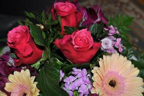 Flower Plant Rose