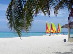 Island Summer Beach