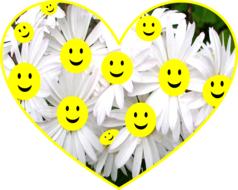 happy face daisy flowers smiley