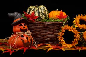 Autumn Black Dark
