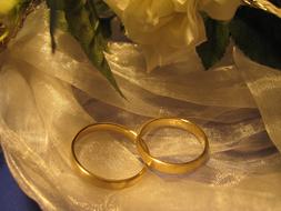 Wedding Rings Ring