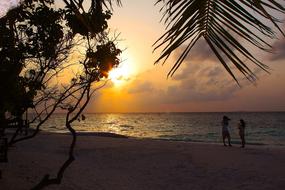 Love Beach Sea