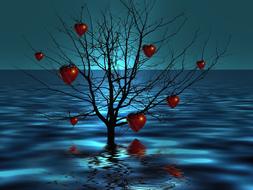 tree kahl lake sea heart wave