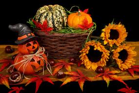Autumn Black Dark