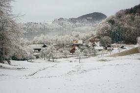 Winter Home Snow