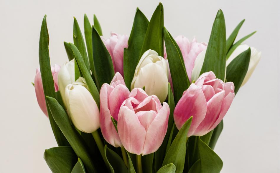 Flowers Bouqet Nature