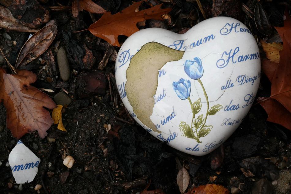 Heart Bare Dream