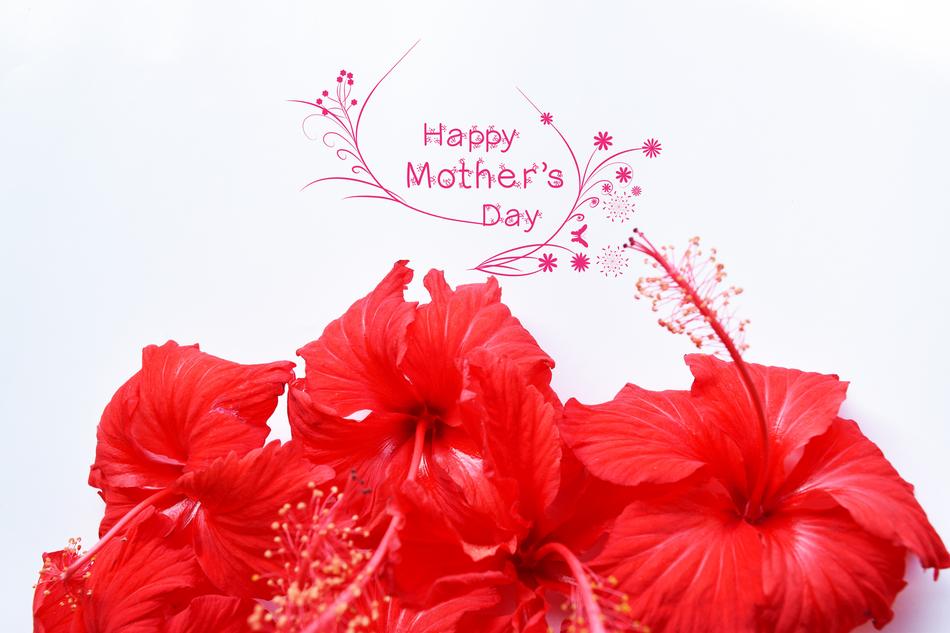 April Background Beauty