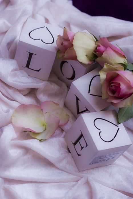 Beautiful and colorful rose flowers with green leaves, on the cubes with signs