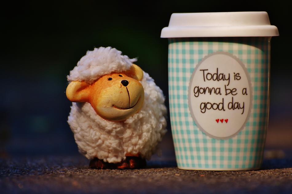 Sheep Beautiful Day To Go