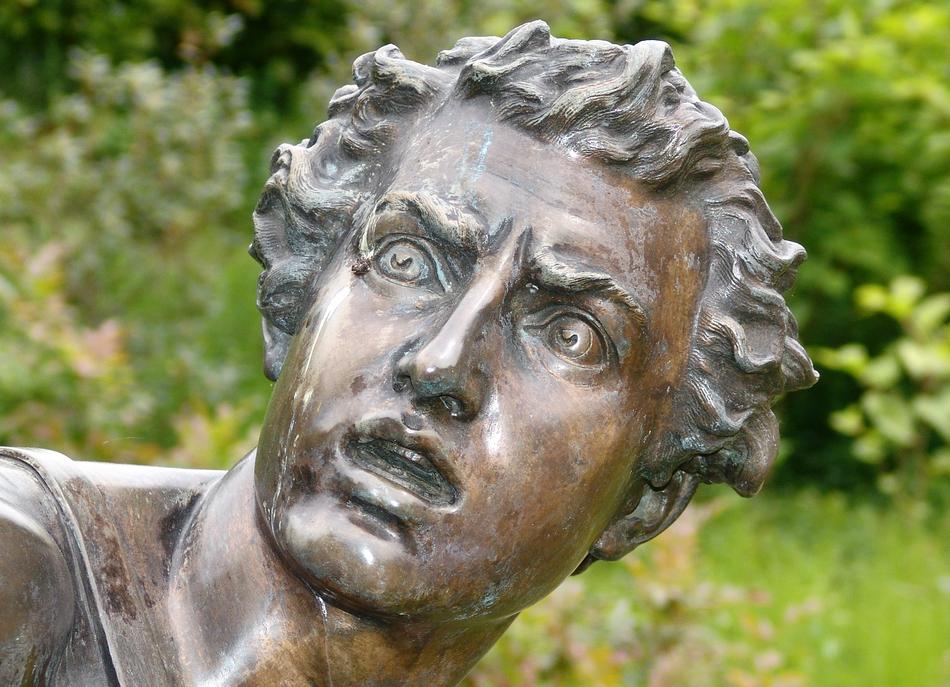 Man Face Portrait