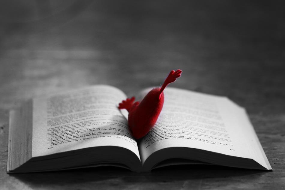 Heart Pillow on book