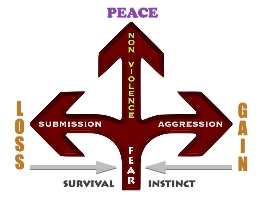 peace nonviolence fear arrows