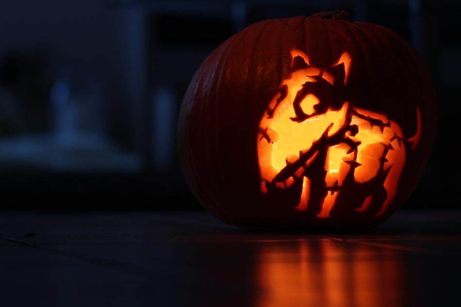 Pumpkin Halloween Frankenweenie