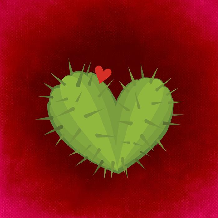 heart cactus love valentine s day