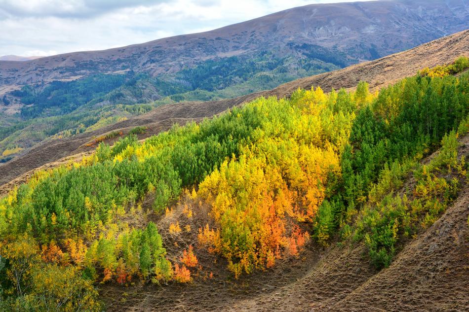 autumn grass on the slope of the Caucasus mountains