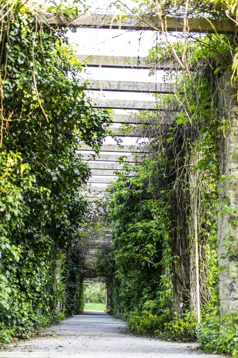 Love Tunnel Gang Away