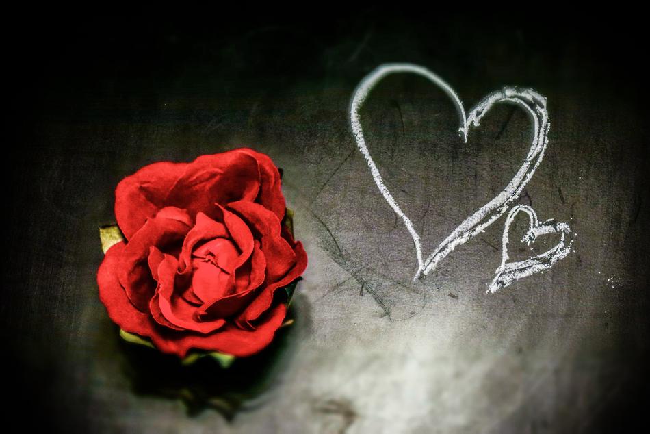 Valentine Love Heart