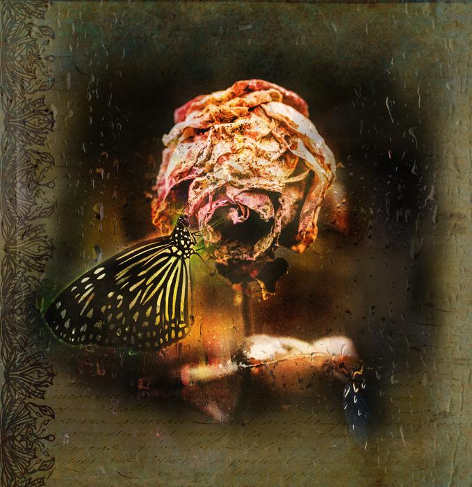 sadness rain memories digital art