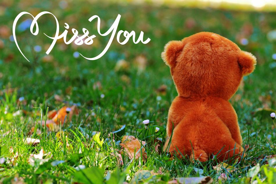 clipart of toy on grass