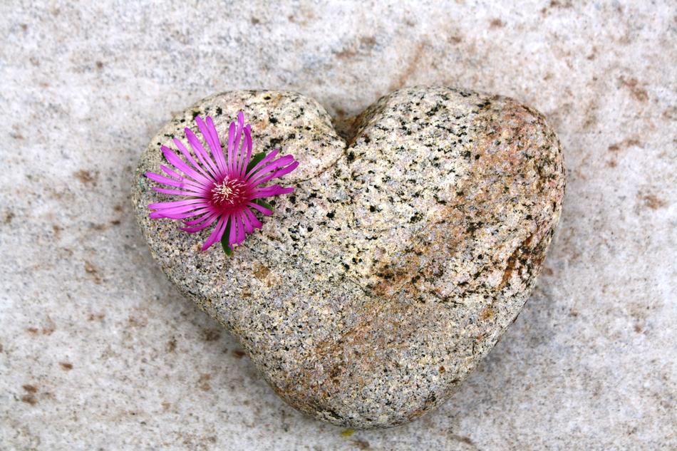 Heart Tenderness Love In