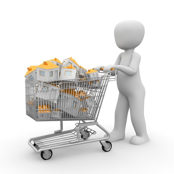 steel shopping cart