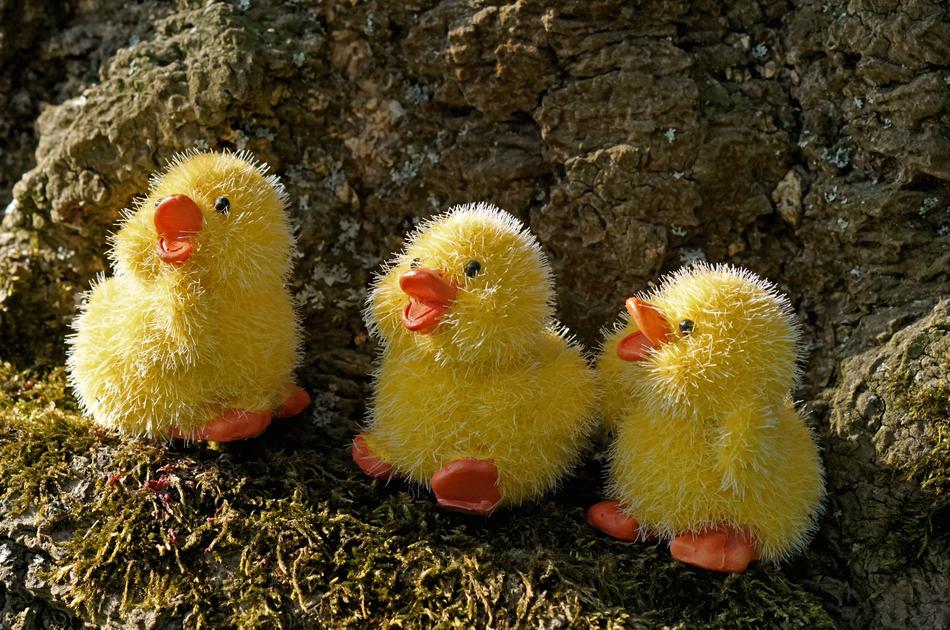 Easter Chicken Decorations