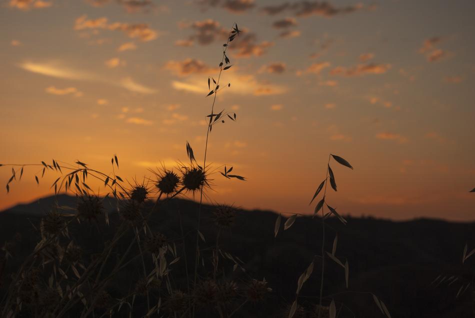 Dawn Sun Nuebes