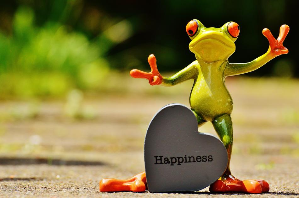 Frog Funny Laugh