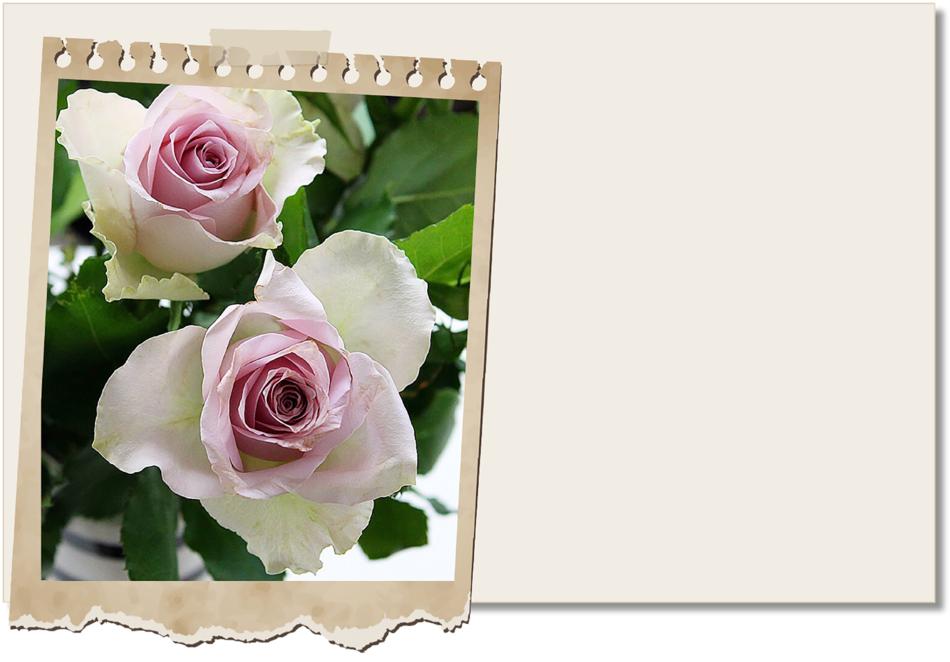 driven blomsterkort placecard