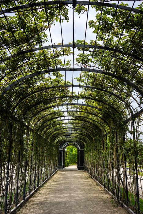 Garden SchÃ¶nbrunn Austria
