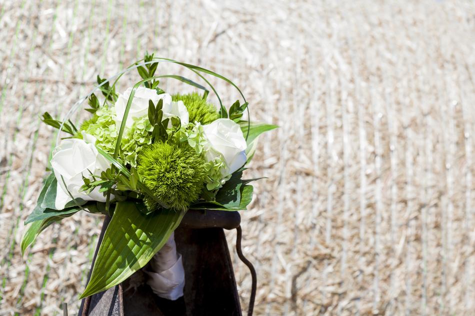 Rings Wedding Marry