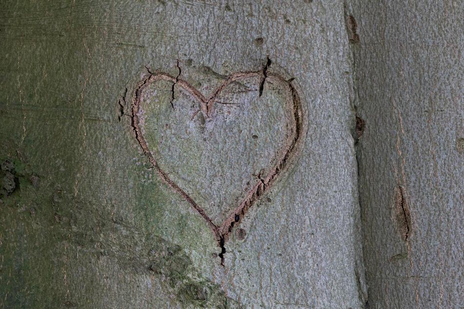 Heart Tree Wooden Structure