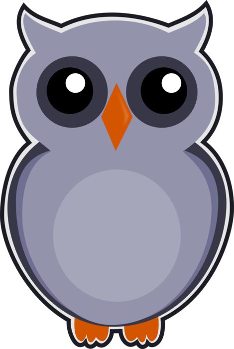 owl gray bird cute animal nature